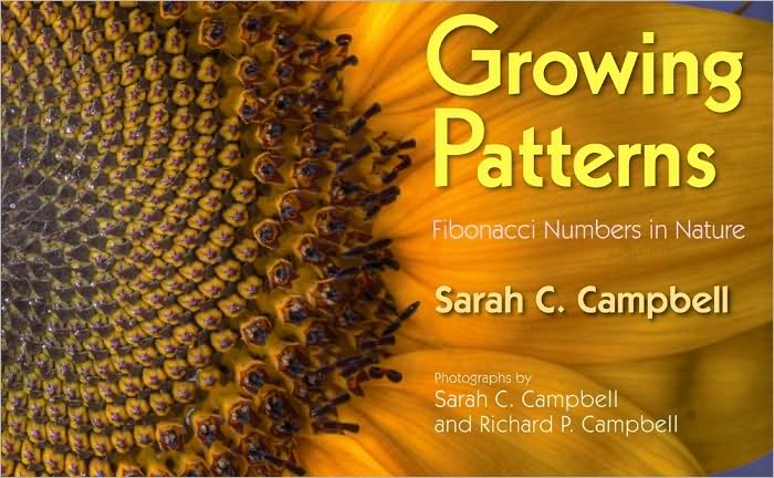 provo-library-children-s-book-reviews-growing-patterns-fibonacci-numbers-in-nature