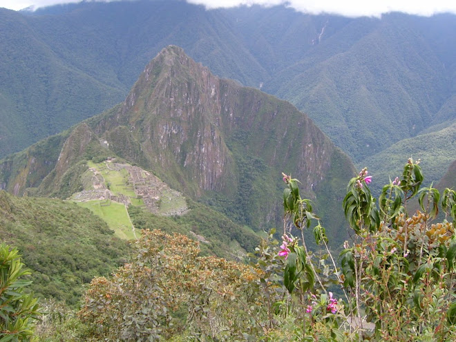 Le site vu de la Montagne Machu Picchu