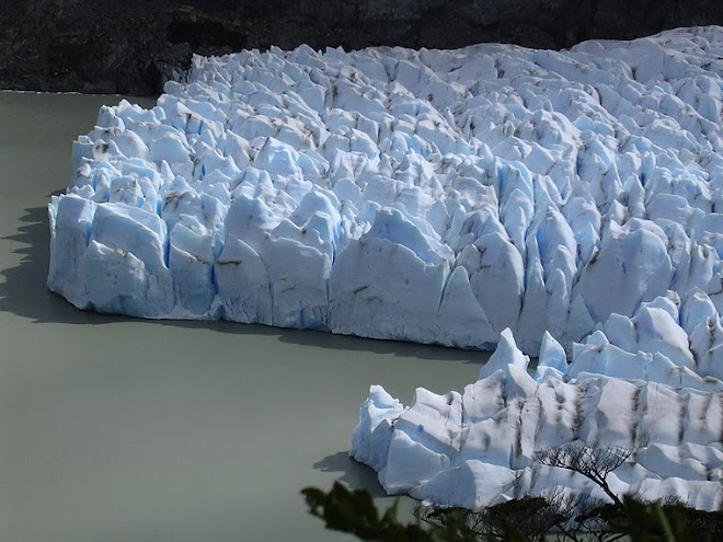 Le glacier Grey à Torres del Paine
