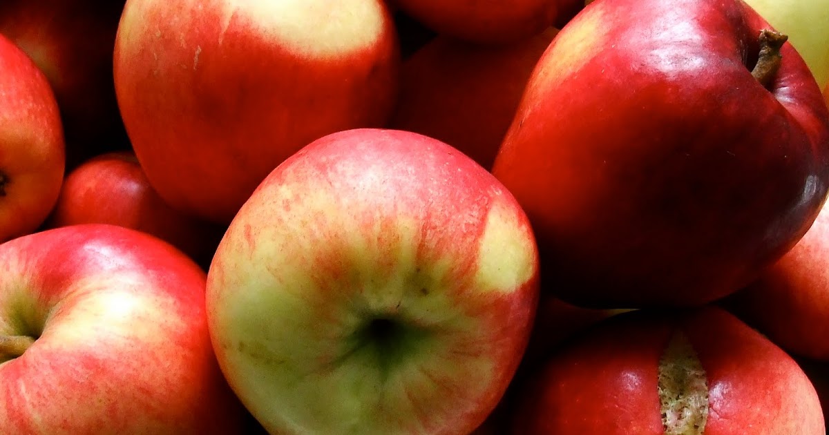 Best Antibiotics Food Best Antibiotics Food