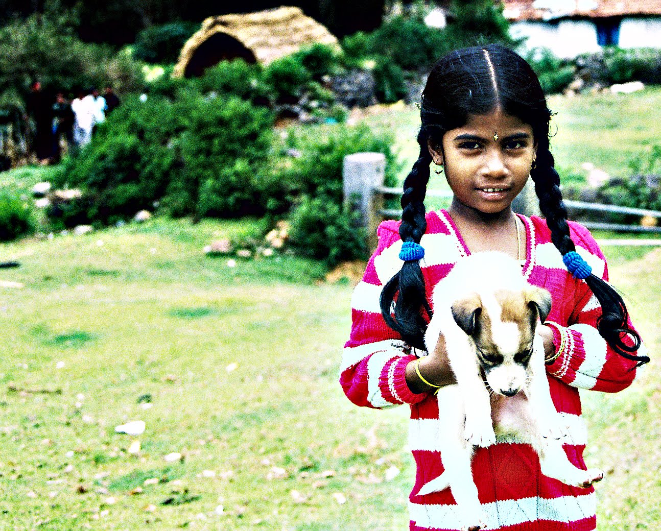 [Girl+with+puppy.jpg]