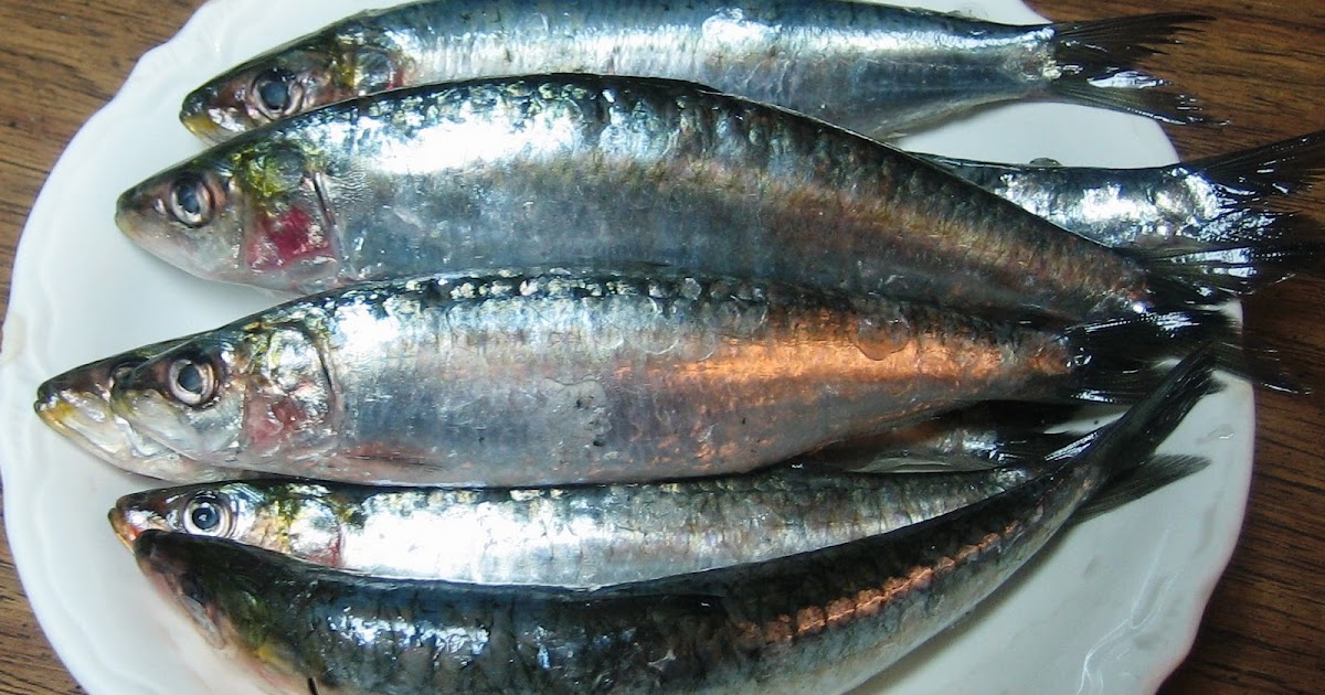 LA CASA E IL GIARDINO SARDINES Why They Are Good for You