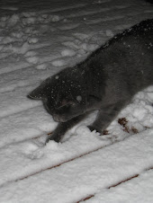 Minus leker i snøen!
