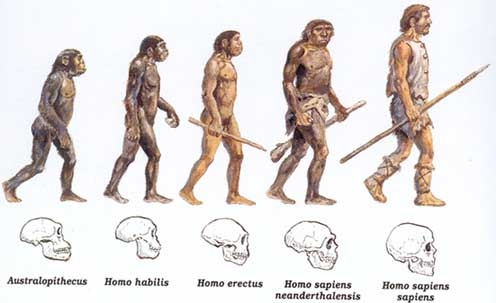 SOU FELIZ !: O Homem Veio do Macaco?