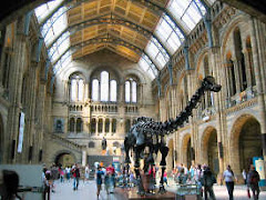 MUSEO FAVORITO: Natural History Museum de Londres