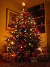 [CHRISTMAS+TREE.jpg]