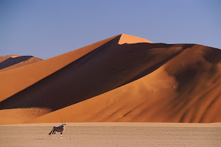 Gemsbok and Sand Dunes, SossusVlei, Namibia