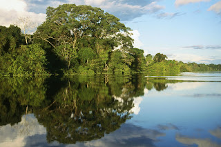 Pacaya-Samiria National Peserve, Amazonia, Peru