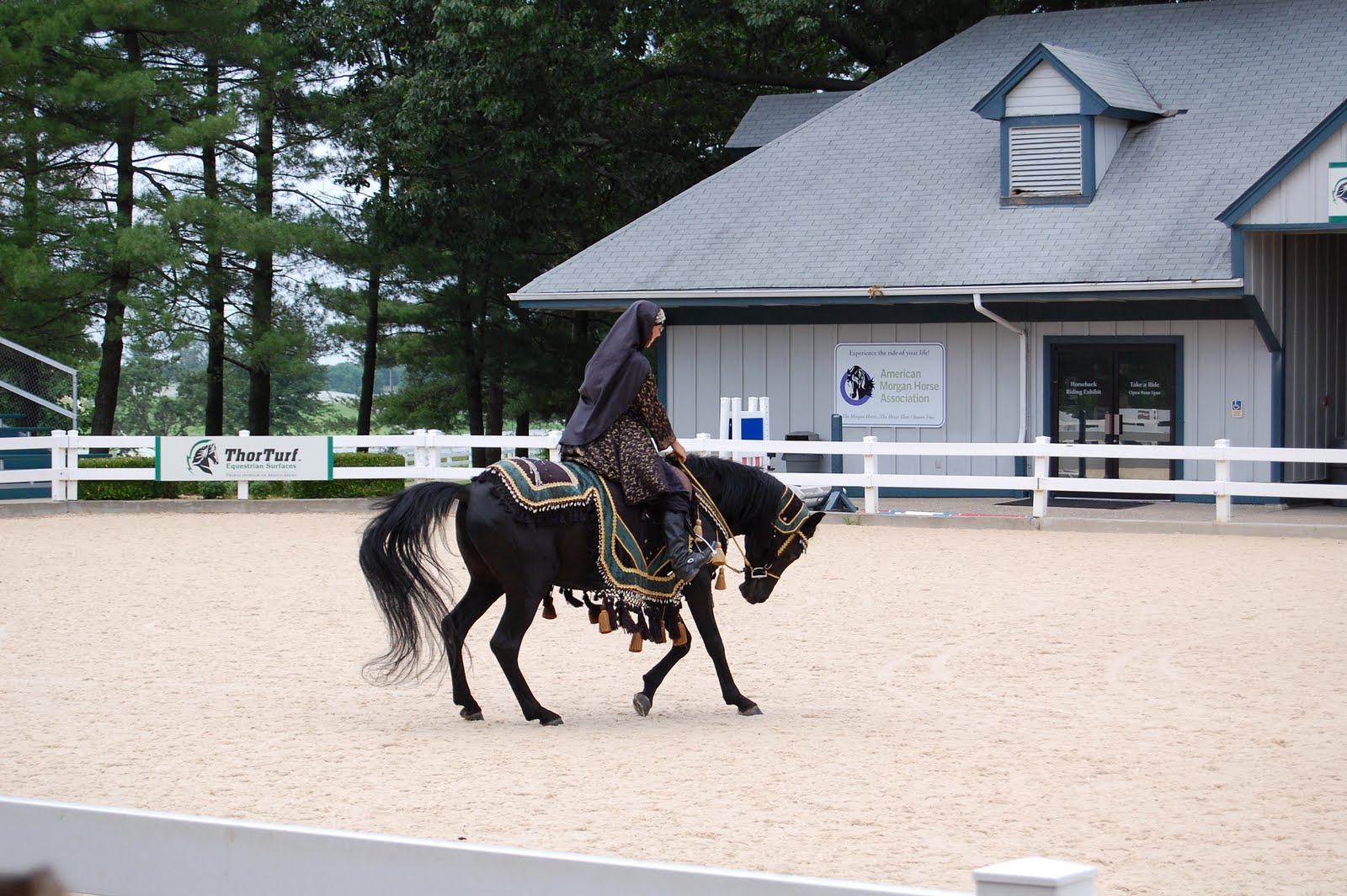 Reflections from the Road Kentucky Horse Park, Lexington