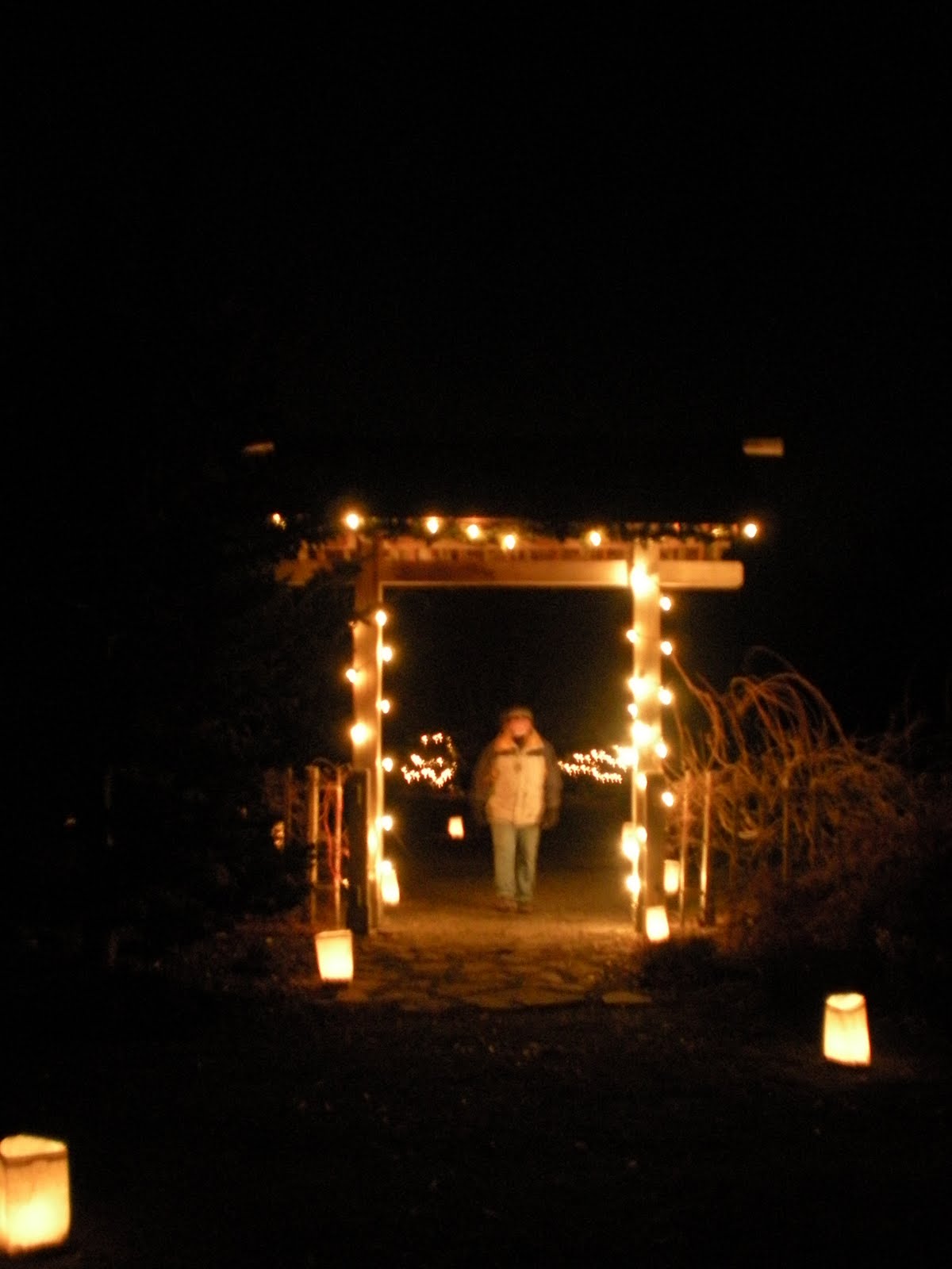 Yakima Valley Blog Luminaria Walk at the Arboretum