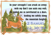 2 Samuel 22:30,34