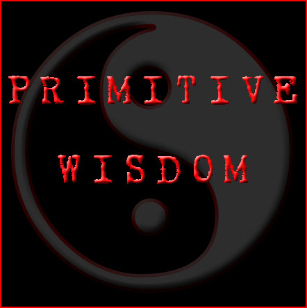 Primitive Wisdom