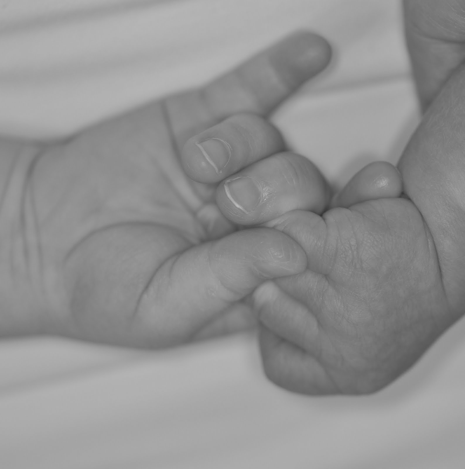 Happenings in Clovis, NM Little hands and feet