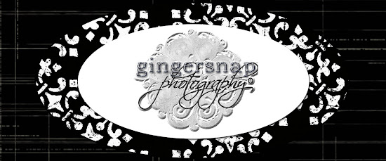 gingersnap photography