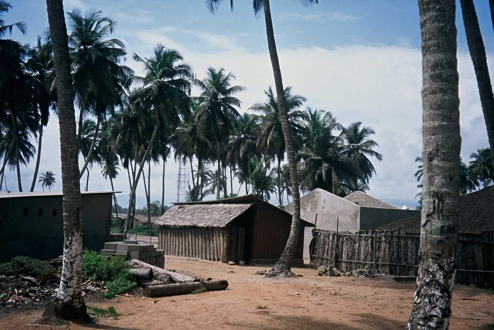 fiordmilmundos Costa de Marfil