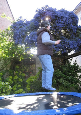 Mid-bounce on the trampoline with purple ceanothus in the background