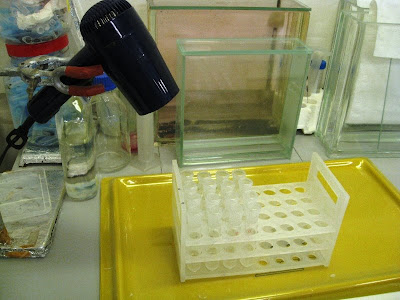 Drying samples in test tubes using a hairdryer