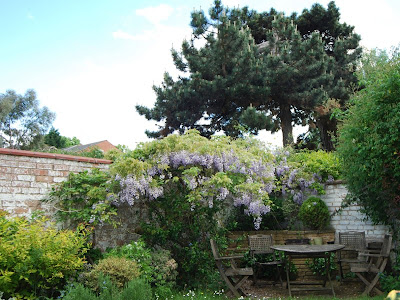 Wisteria, trees, table and chairs