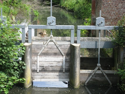 Duck on a canal sluice gate