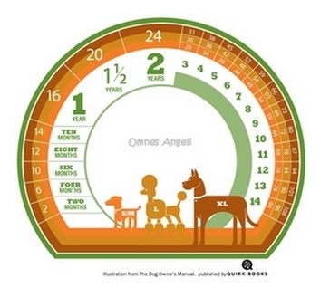 Calcule a idade de seu animal!