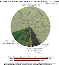 Causas de la Deforestación en la Selva Amazónica Brasileña, 2000-2005