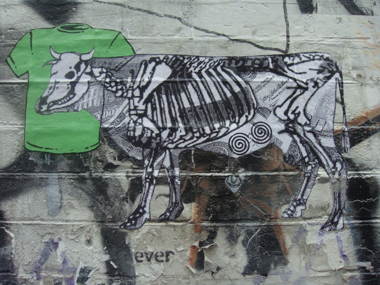 Polish Fixation Zebra Stripes