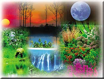 http://4.bp.blogspot.com/_MguJHBLntYE/SxdoPKG61vI/AAAAAAAAABA/gSsevrlR_-I/s320/62.jpg