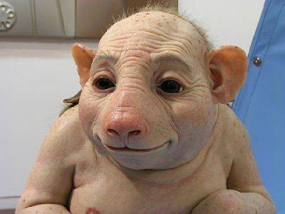 http://4.bp.blogspot.com/_Mhd4FU-ipZ4/Sti8tNMFmsI/AAAAAAAAAIY/AjuK8G0yaTg/s400/PIG+FACE.jpg