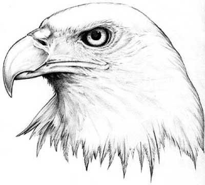 When you look at the eagle tattoo design, they have different meanings
