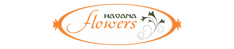 Havana Flowers