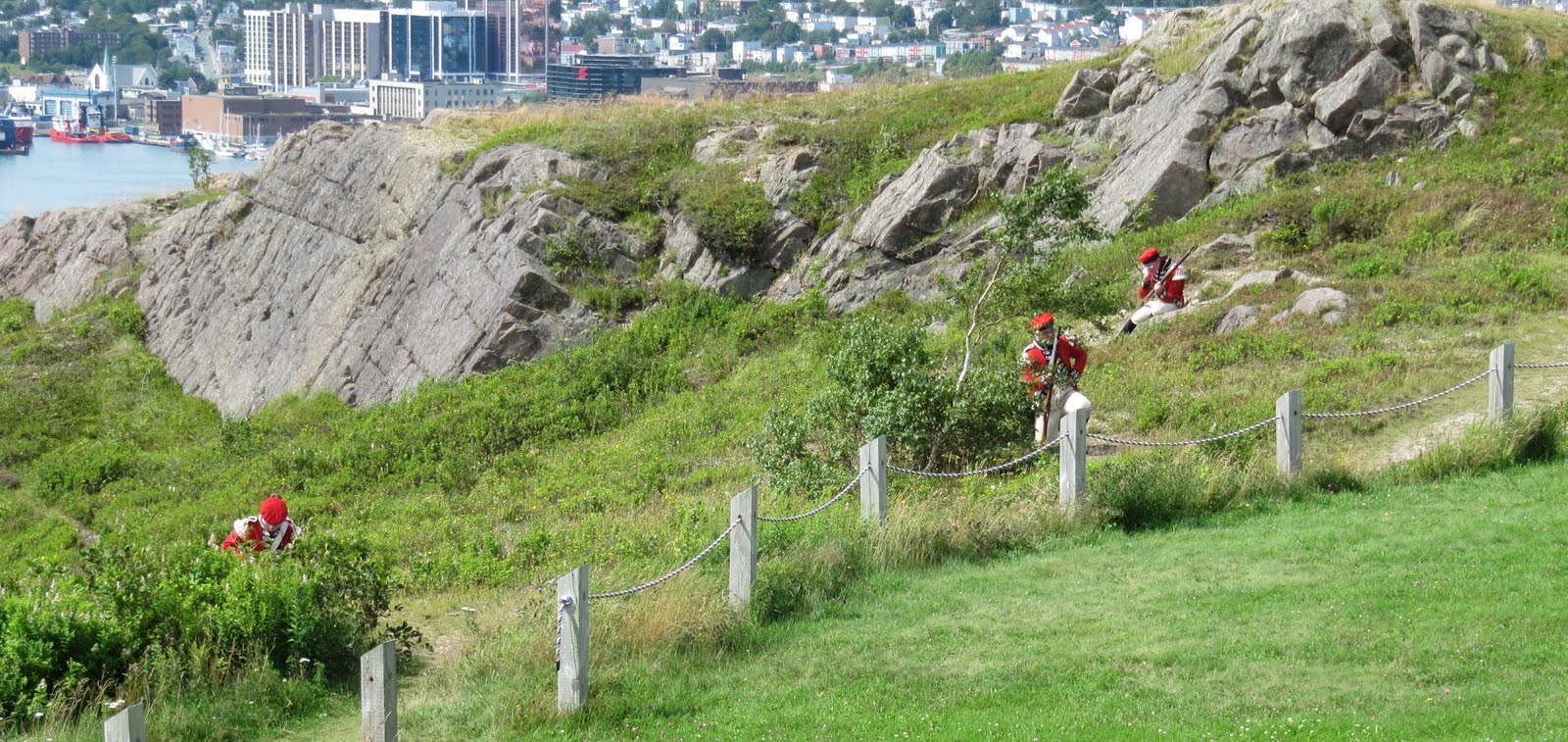 Travel with Tribbles Signal Hill and Quidi Vidi Harbor