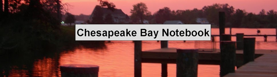 Chesapeake Bay Notebook