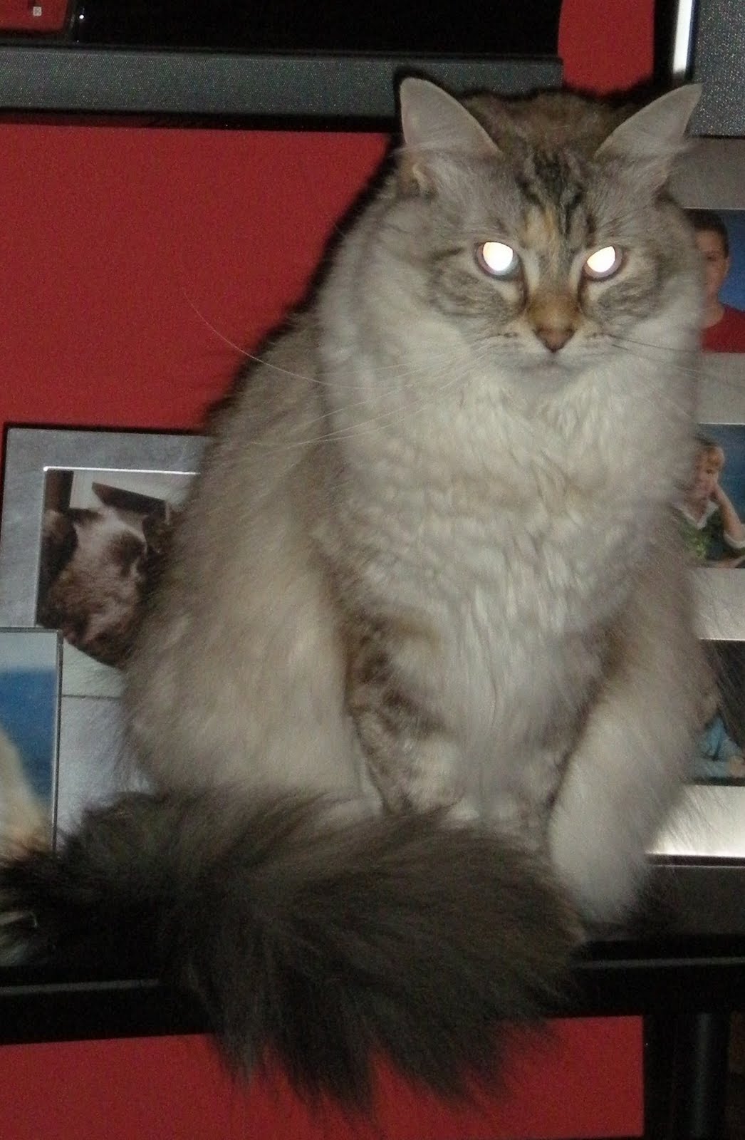 [DSCN0725+-+Copy.JPG]