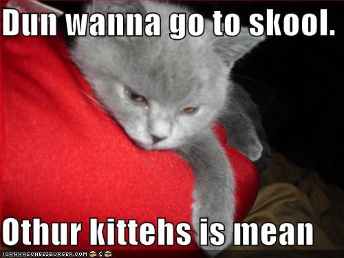 [funny-pictures-kitten-does-not-want-to-go-to-school.jpg]