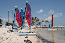 sailboats at Smathers