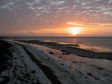 sunrise at smathers beach