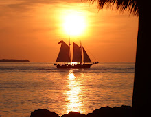 sunset sailing in key west.