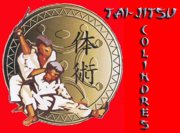 TAI-JITSU COLINDRES