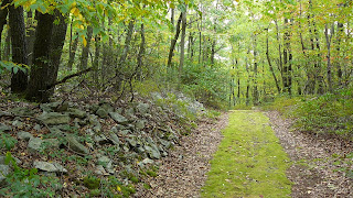 Wandering About Jeff: Riding Rothrock