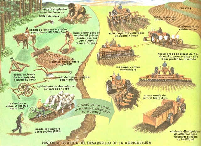 Paola Garcia Ortega: PRODUCCIÓN AGRÍCOLA