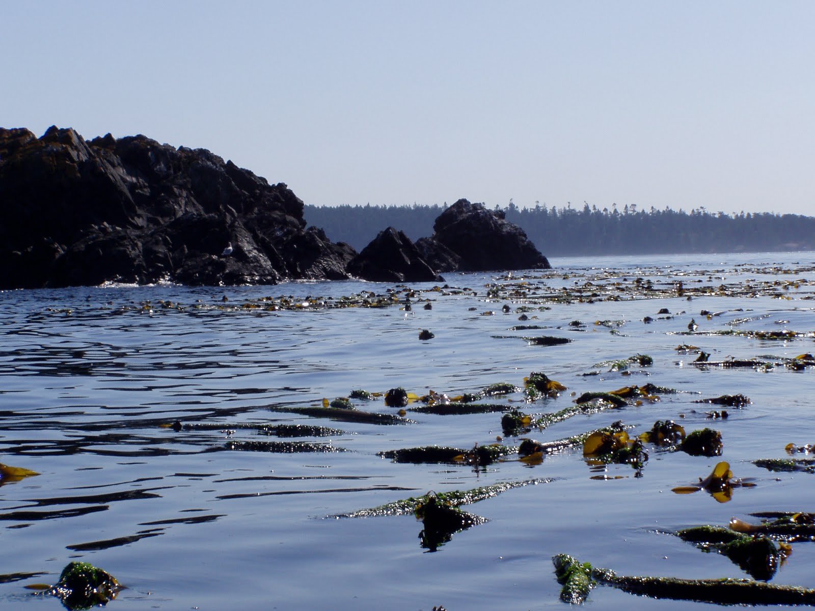 Pacific Northwest Seasons Bowman Bay and Deception Pass State Park