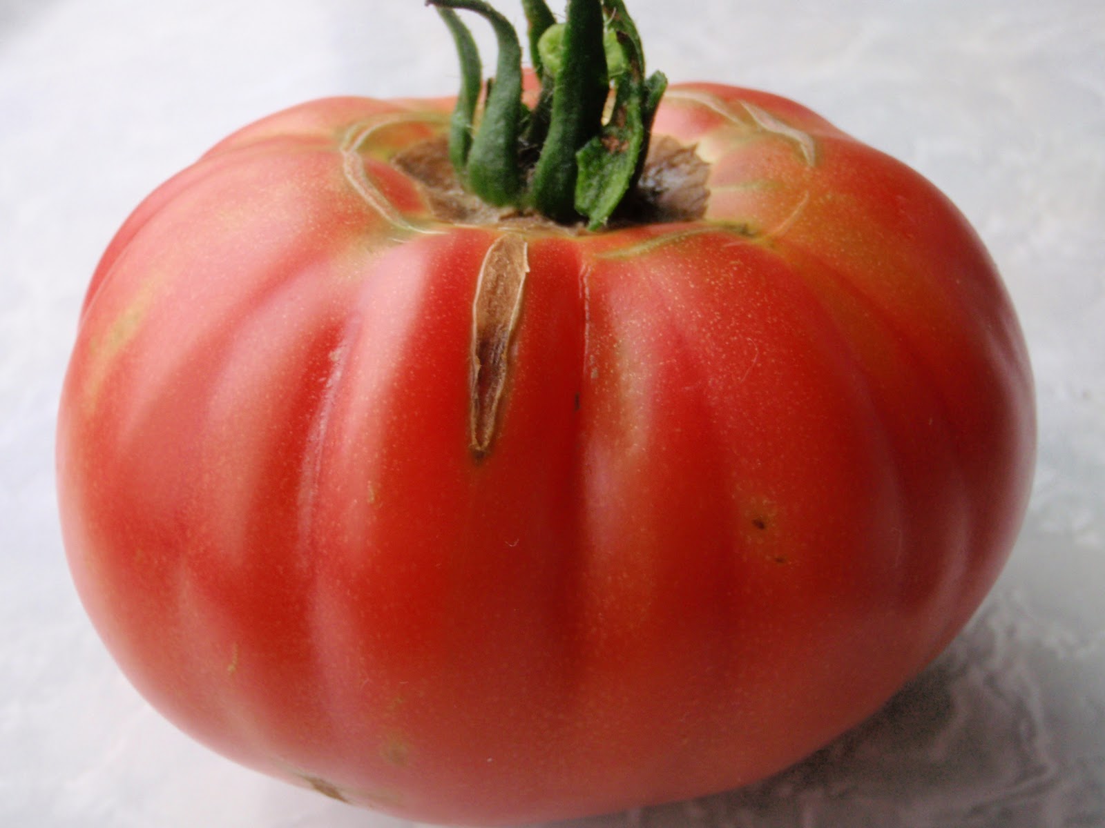 Tomato Pink Brandywine