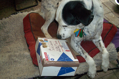 huh? does she expect me to eat the box or what?