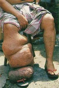 Imagem6.jpg