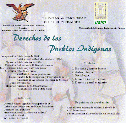 DERECHO INDIGENA