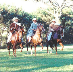 Exposición fotografica por fiestas  patrias  peruanas , en la foto "caballo de paso peruano"