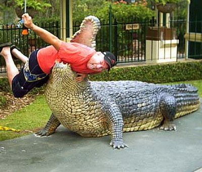 Interesting: Amazing - reptiles the Amazon