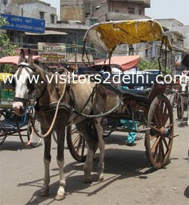 Delhi City Guide - Travel Guide and Planner to Delhi: May 2010