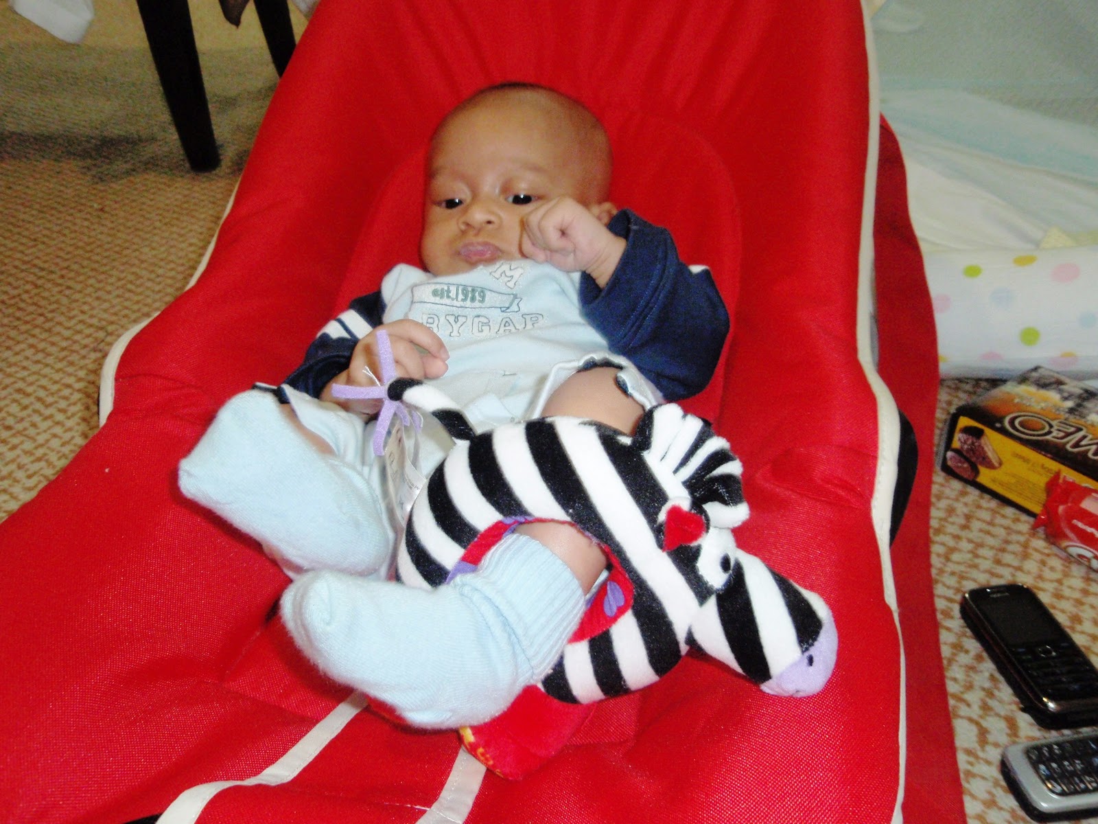 zebra lamaze