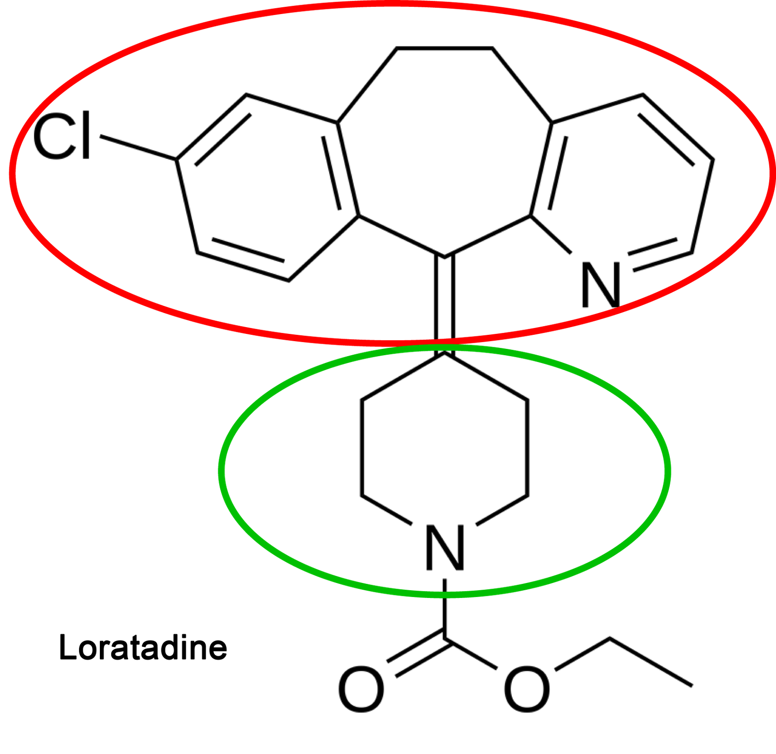 The Eclectic Mind My new favorite site!!!